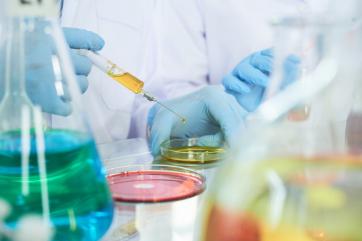 В Россию не пустили около 3 млн упаковок ветпрепаратов